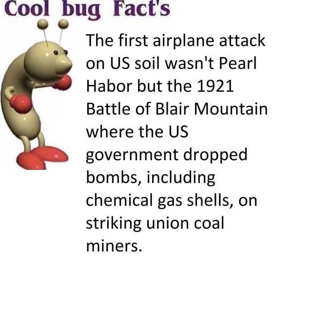 cool bug facts: the first airplane attack on US soil wasn't Pearl Harbor but the 1921 Battle of Blair Mountain where the government dropped bombs, including chemical gas shells, on striking union coal miners.
